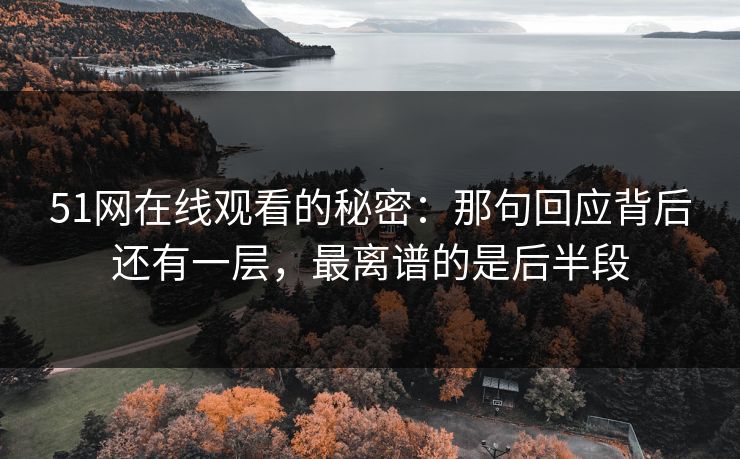 51网在线观看的秘密：那句回应背后还有一层，最离谱的是后半段